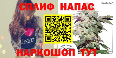тгк Гусев
